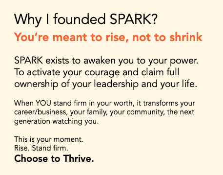 Why I founded SPARK